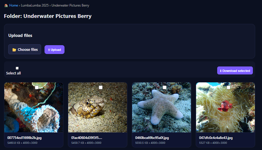 Secure File Sharing Platform