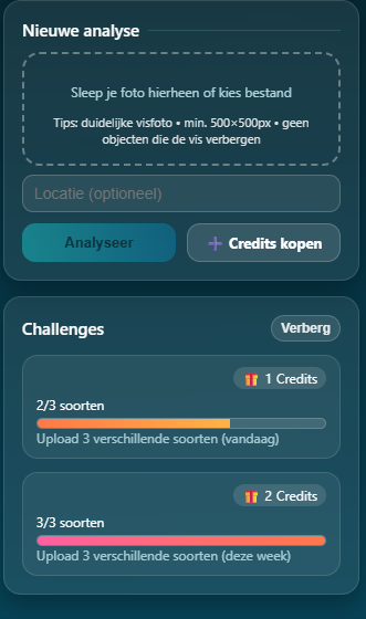 Stripe Payments & Credit System image 4